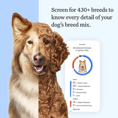 Wisdom Panel etiqueta del kit con instrucciones claras y fáciles