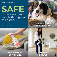 Wondercide being applied to a dog’s fur for flea and tick control