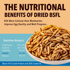 WormsFarm larvae scattered for chickens, showing high acceptance benefit
