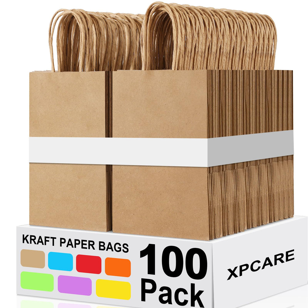 XPCARE vista frontal del paquete de 100 bolsas para almacenamiento elegante