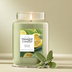 Yankee Candle vela encendida Sage & Citrus en sala para ambiente fresco y relajante