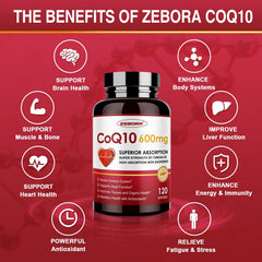 ZEBORA cápsula en mano para comparar tamaño y comodidad al tragar