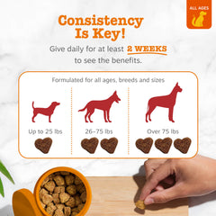 Zesty Paws bocado en mano demostrando tamaño ideal para perros