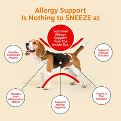 Zesty Paws masticable en mano para mostrar tamaño y dosificación