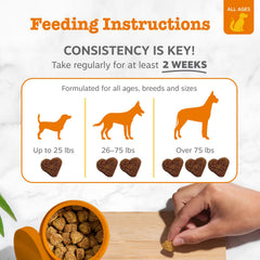 Zesty Paws etiqueta con ingredientes destacando EpiCor y probióticos