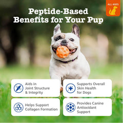 Zesty Paws primer plano de la gomita para apreciar textura y apetencia