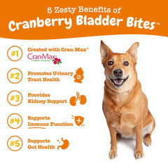 Zesty Paws mordisco en primer plano con textura visible y atractivo para perros
