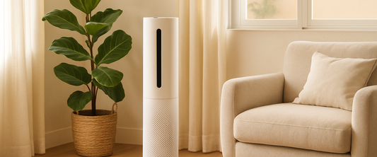 Purificador de aire blanco en una sala luminosa — guía de compra