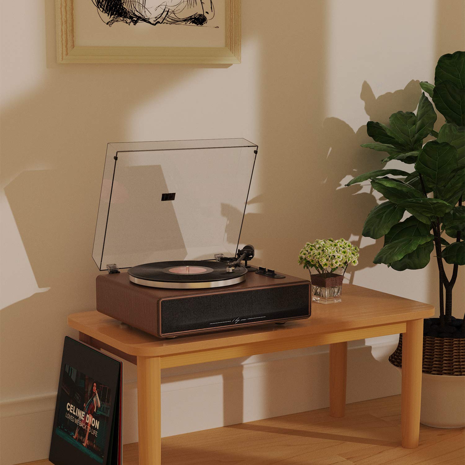 1byone comparación de tamaño con vinilo para referencia visual
