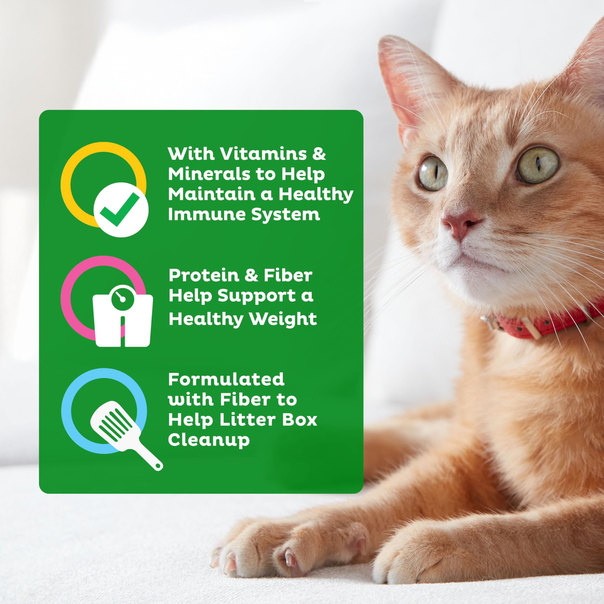 9Lives mano sosteniendo croqueta para comparar tamaño y forma práctica