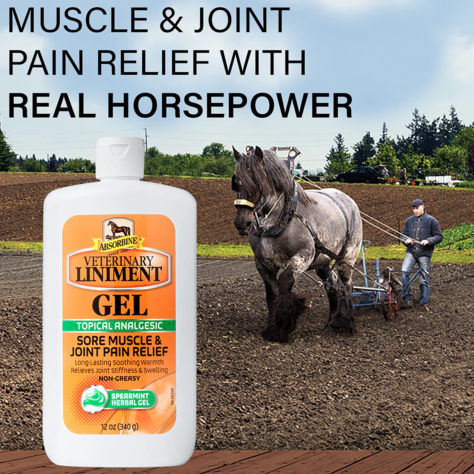 Absorbine gel aplicación en pierna de caballo para masaje y manejo local