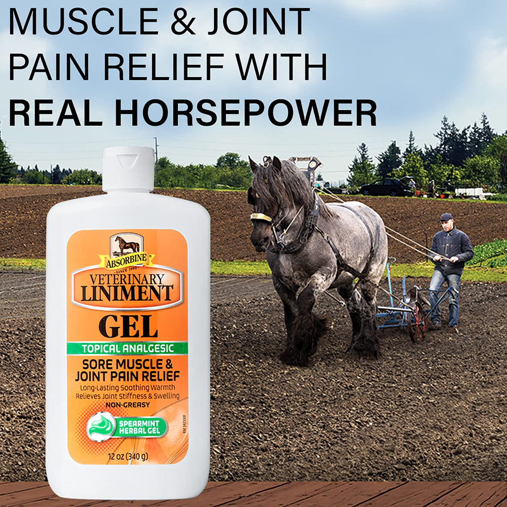 Absorbine gel aplicación en pierna de caballo para masaje y manejo local
