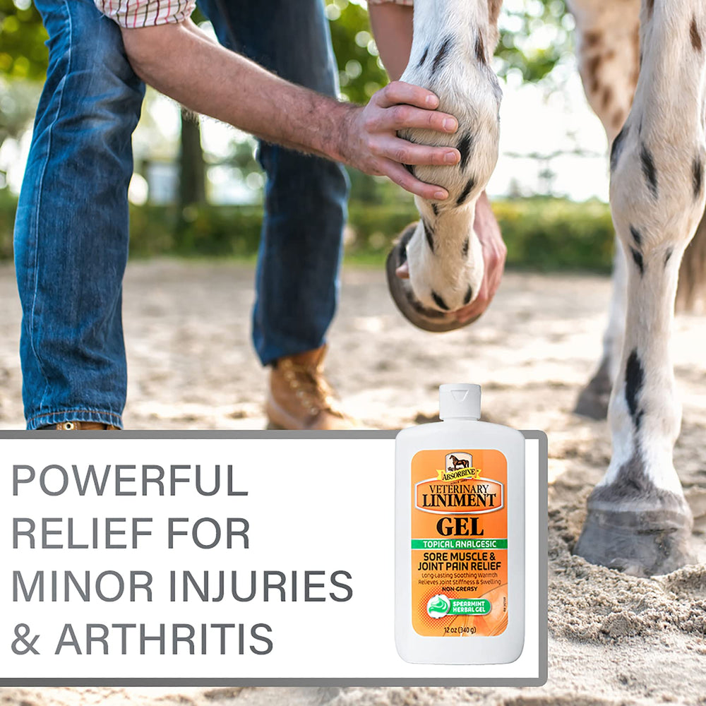 Absorbine gel etiqueta e ingredientes destacando mentol y extractos herbales