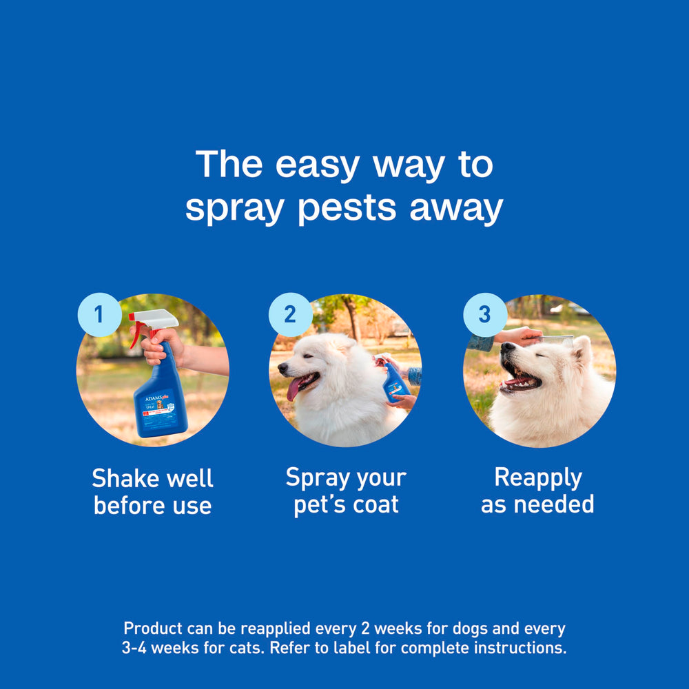 ADAMS spray en patio ayuda a controlar pulgas y garrapatas exteriores