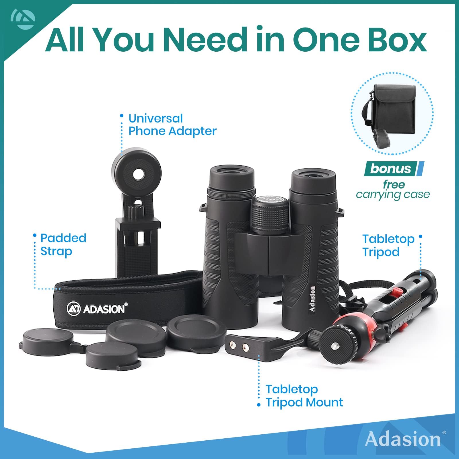 Adasion observando aves en campo, ideal para actividades al aire libre