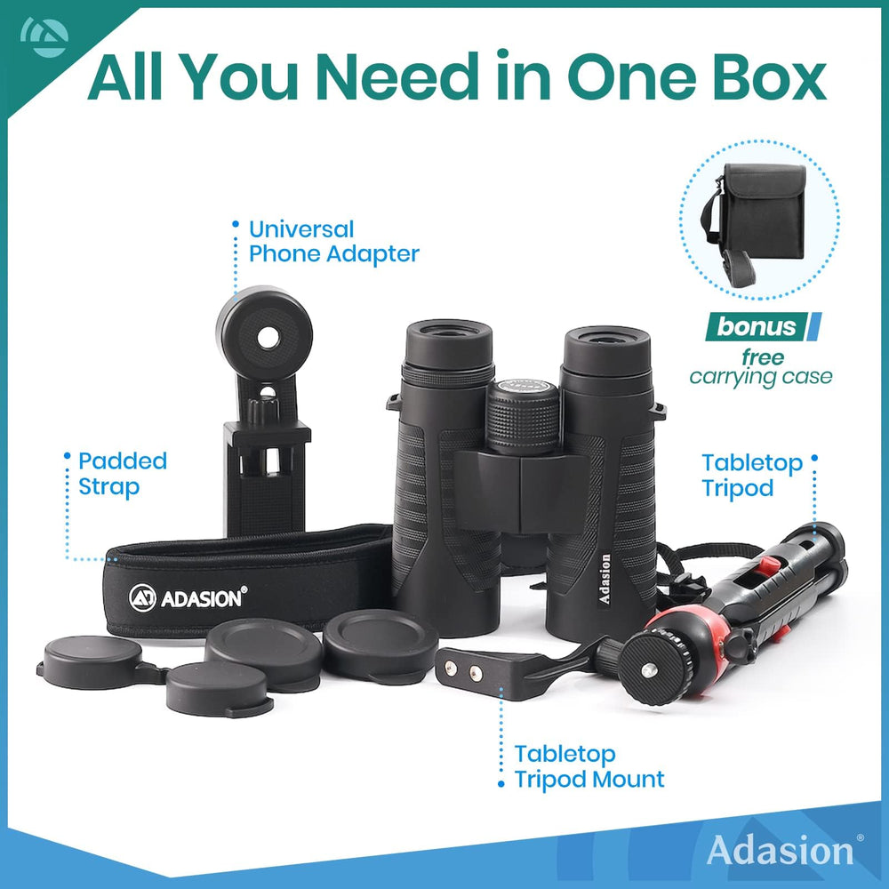 Adasion observando aves en campo, ideal para actividades al aire libre