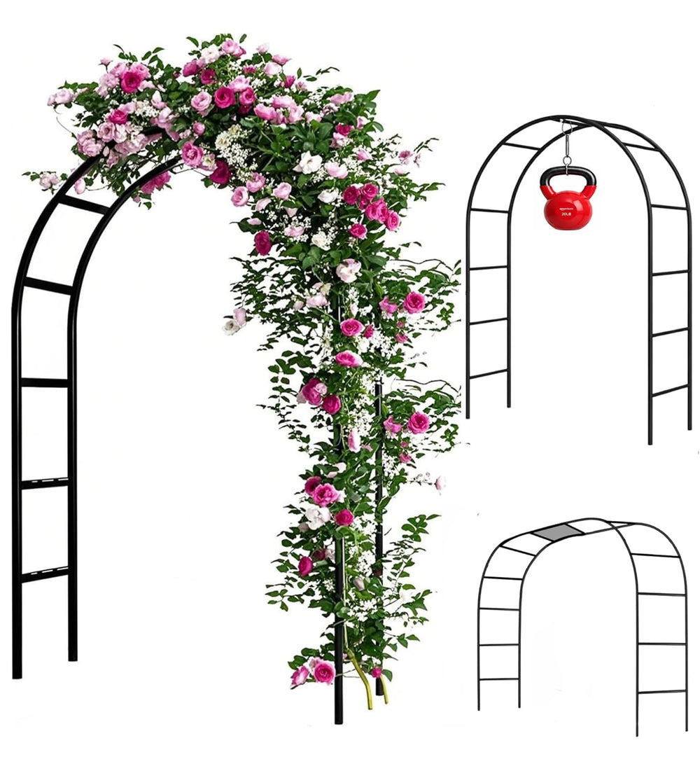 Adorox vista frontal del arco metálico, soporte robusto y elegante