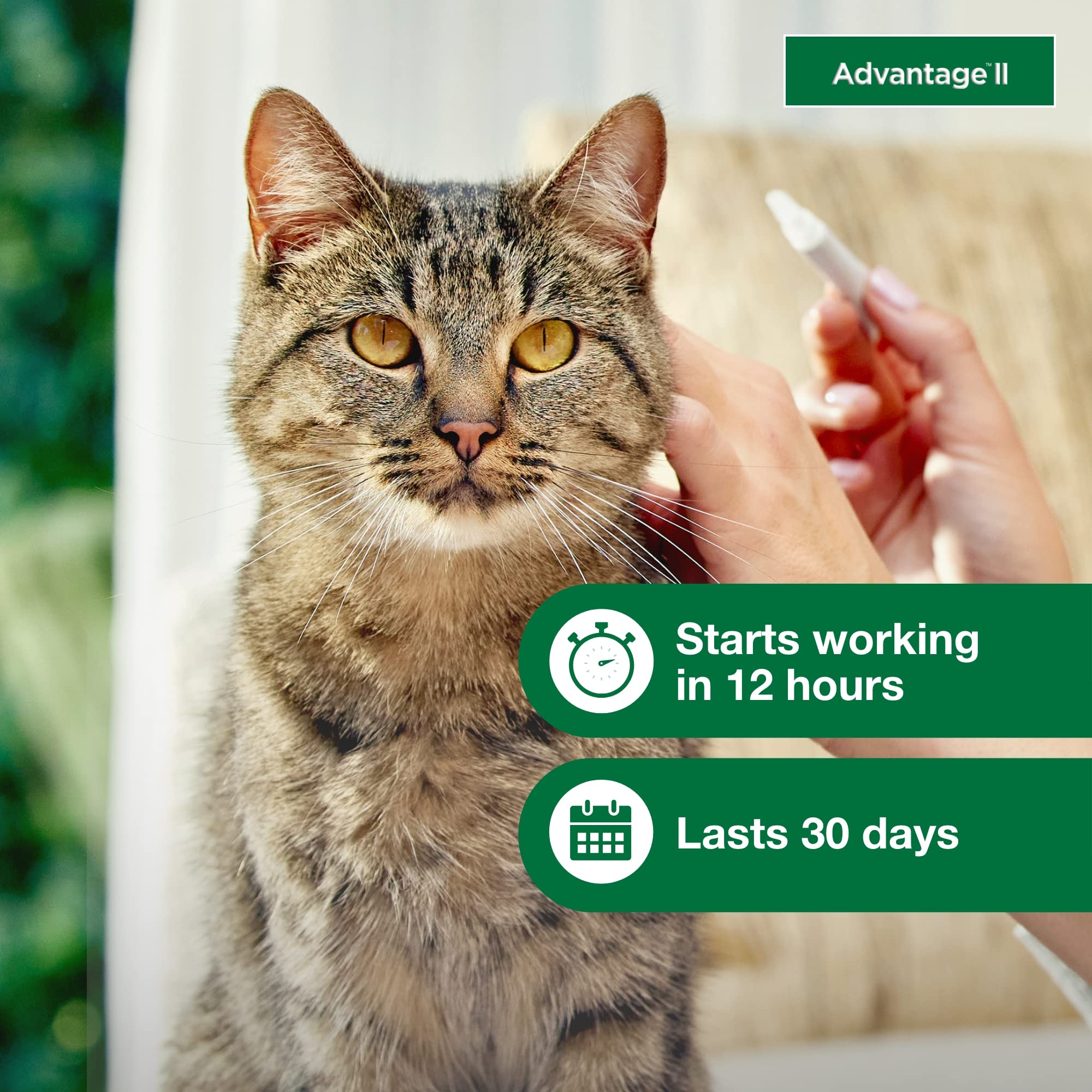 Advantage tubo en mano para comparar tamaño y facilidad de uso