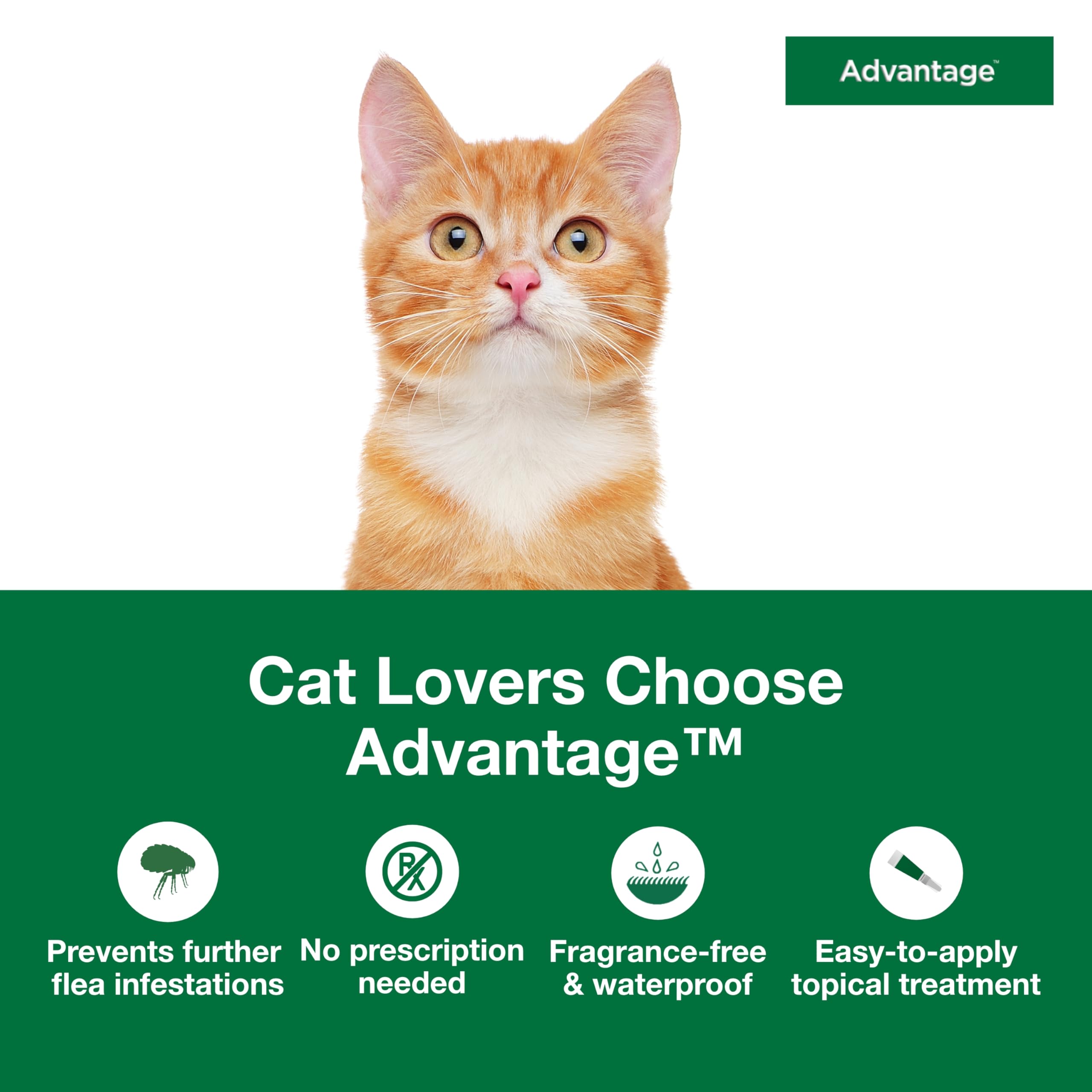 Advantage aplicación en nuca de gato ilustrando colocación correcta y eficacia