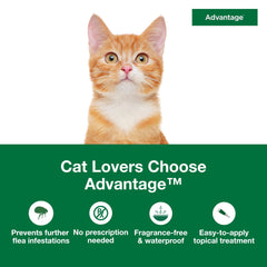 Advantage aplicación en nuca de gato ilustrando colocación correcta y eficacia