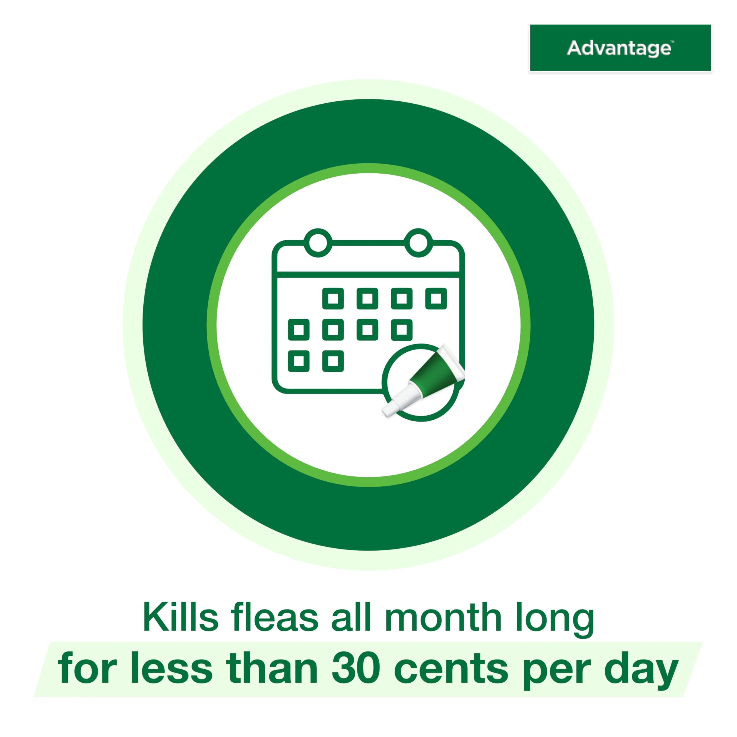 Advantage envase abierto con pipetas visibles para comprobar contenido incluido
