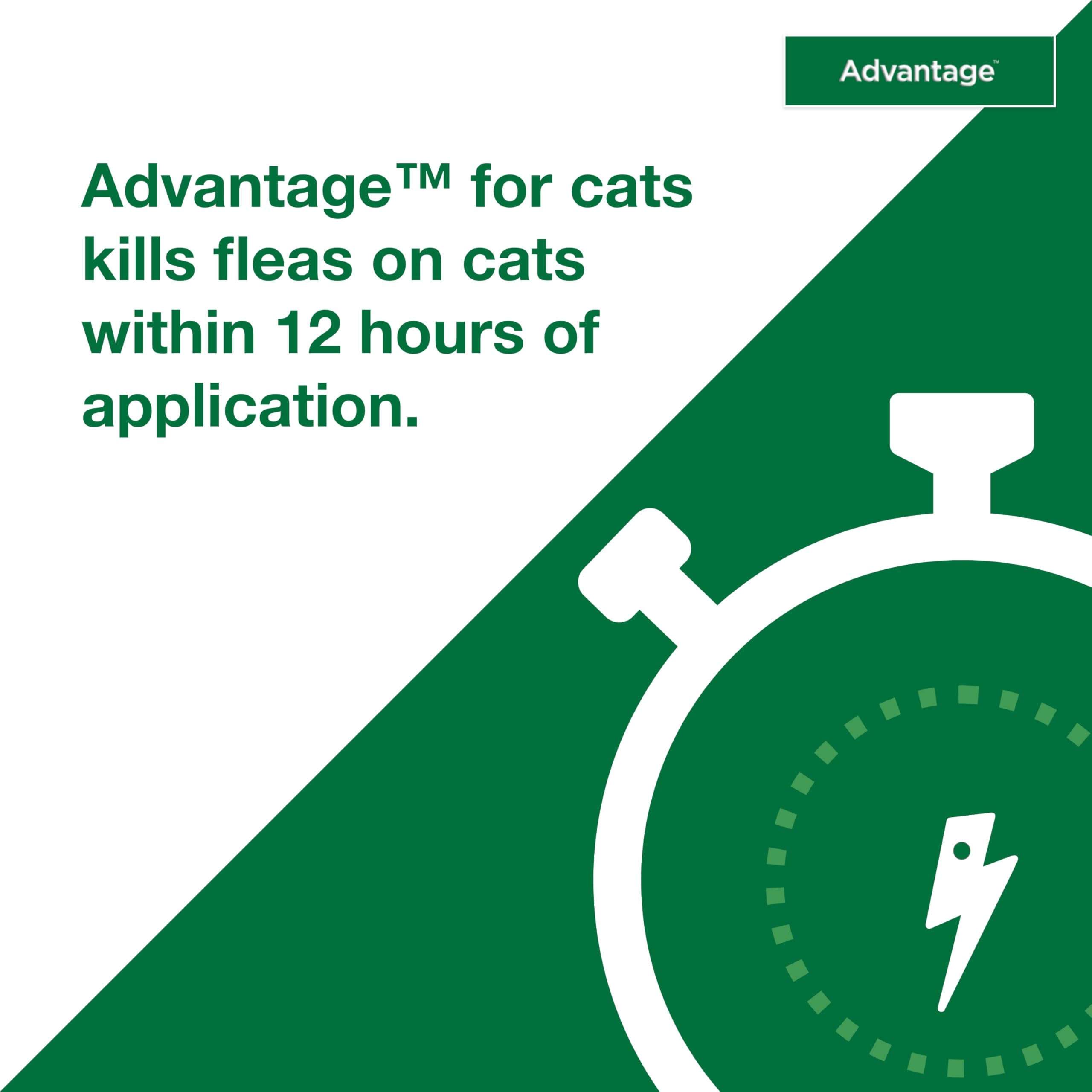 Advantage junto a un gato pequeño para comparar tamaño y dosis adecuada