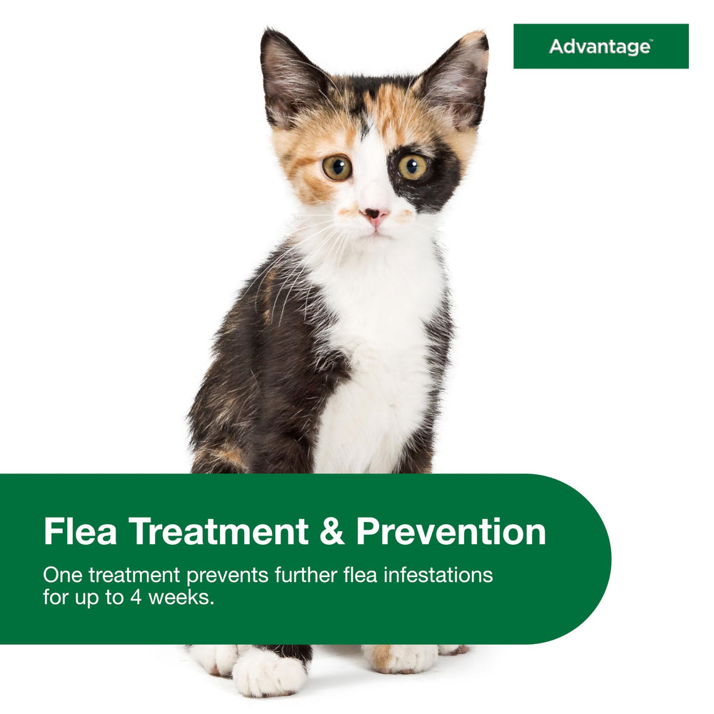 Advantage detalle del líquido para evidenciar fórmula tópica concentrada