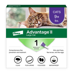 Advantage tubo frontal mostrando marca y beneficio de protección mensual