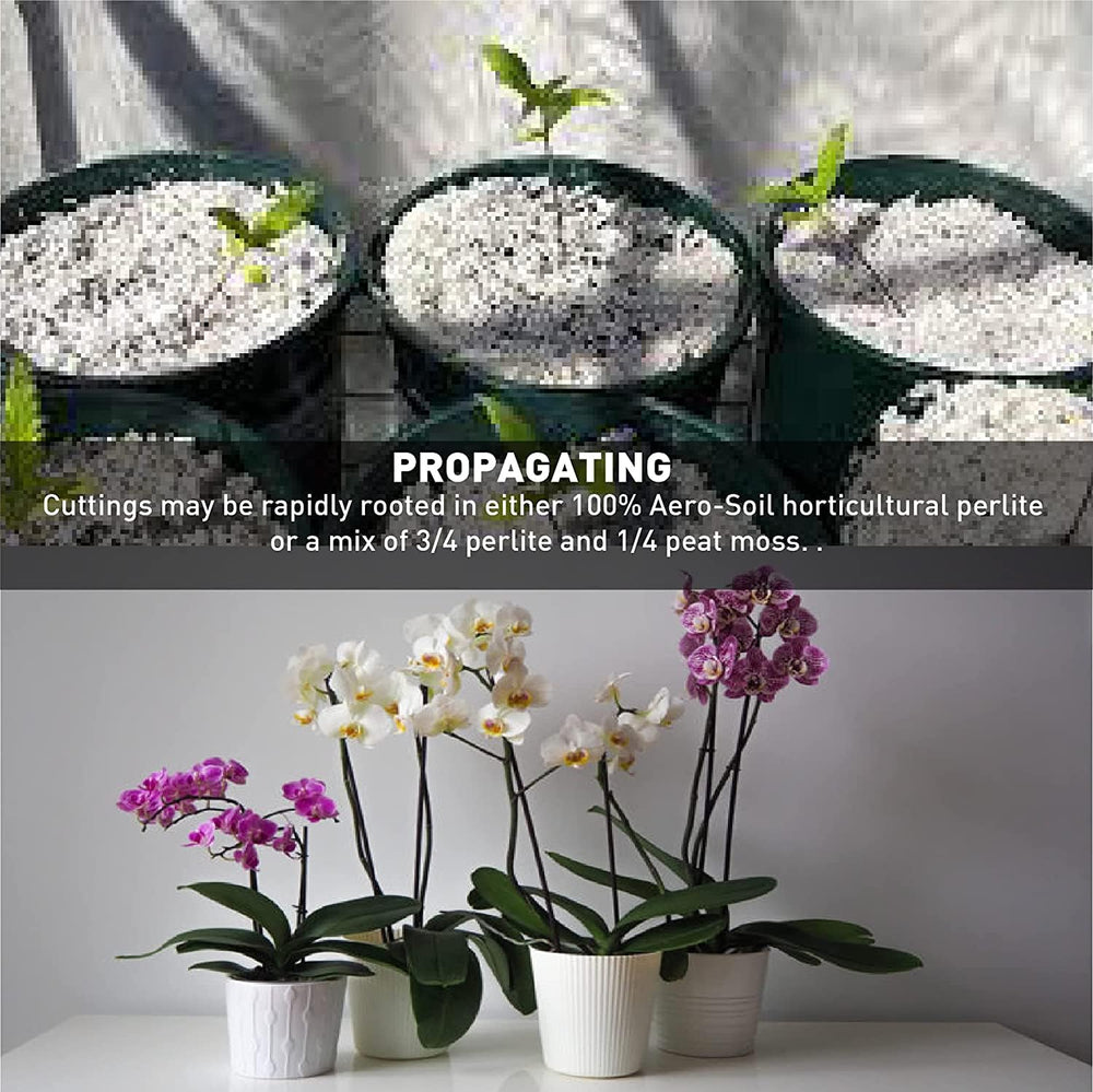 EASYGO PRODUCTS AeroSoil Perlite en maceta demostrando mejor drenaje y crecimiento