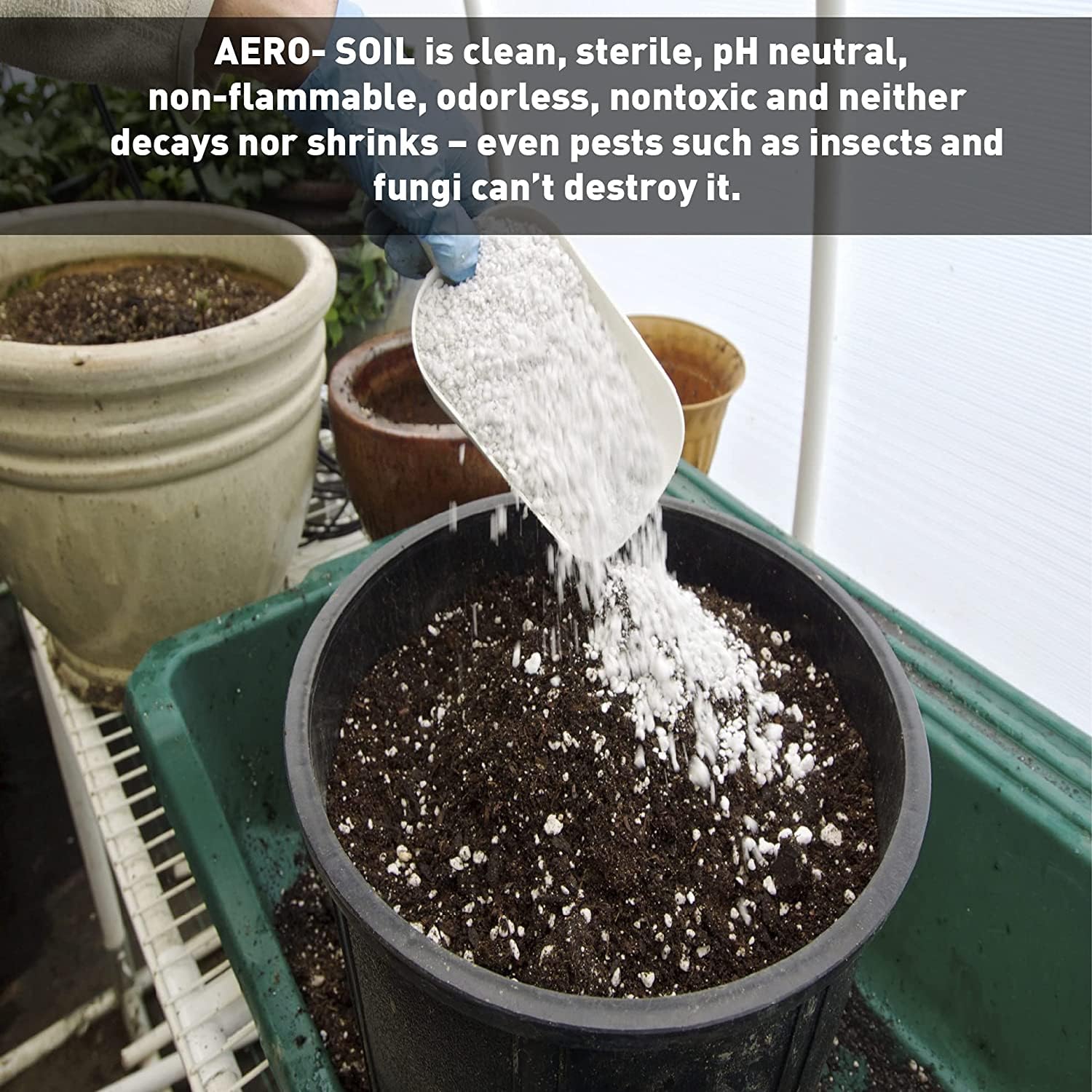 EASYGO PRODUCTS AeroSoil Perlite en trasplante de arbusto que facilita raíces fuertes