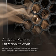 AIRDOCTOR detalle del filtro Premium Carbono/VOC con carbono activo neutralizante