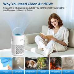 AirHub close-up of True HEPA and carbon filter capturing pollutants