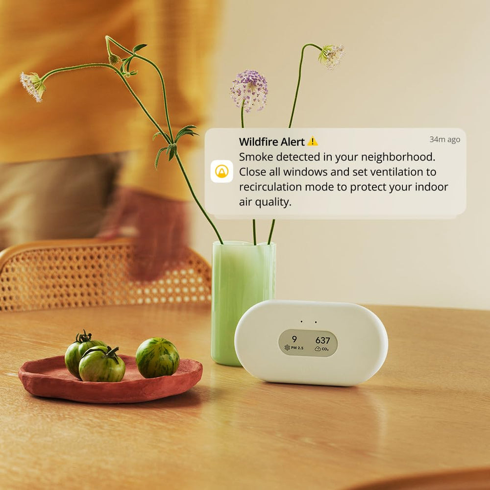 Airthings View Plus empaque con baterías y manual, listo para instalar