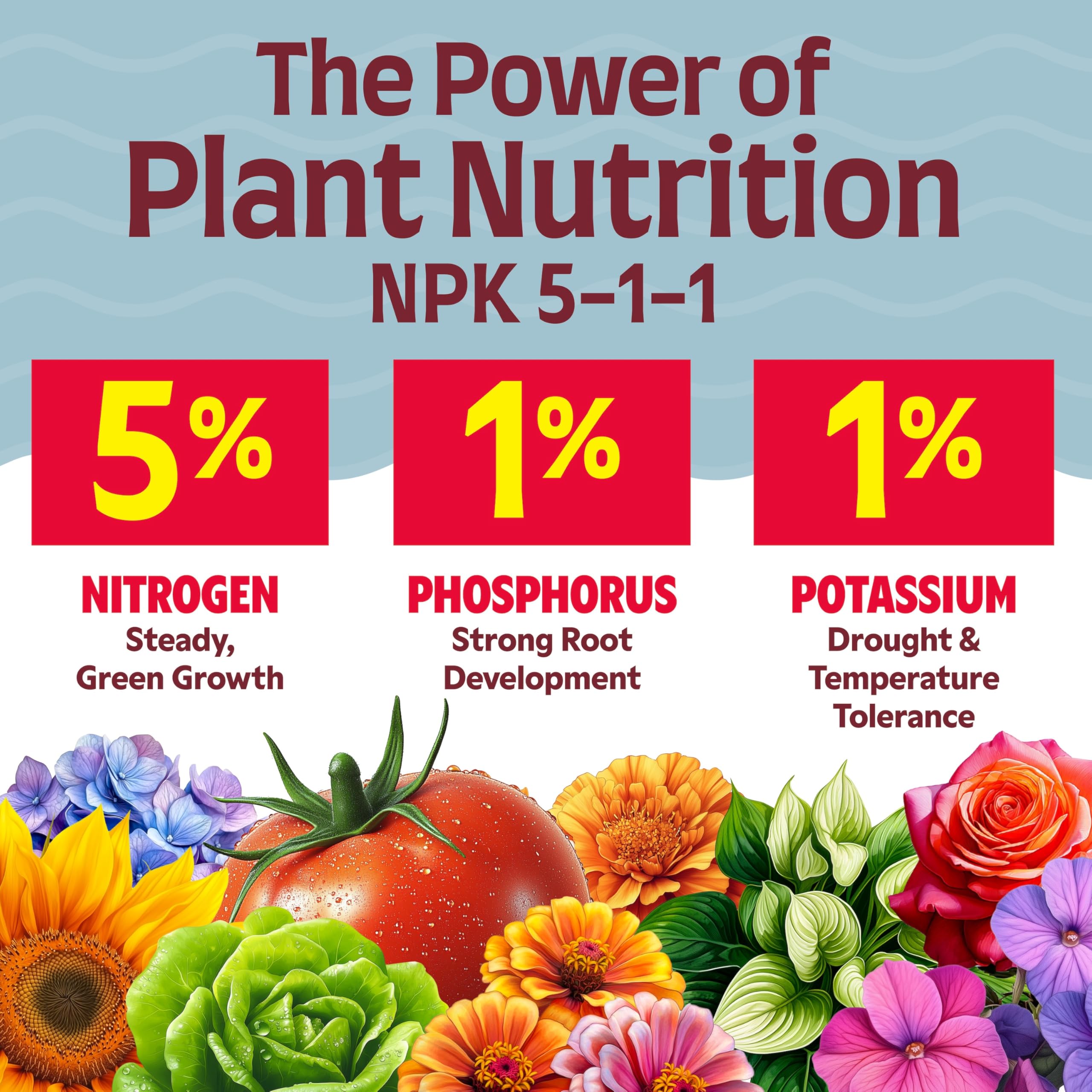 Alaska plantas de interior saludables tras aplicación regular