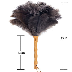 Aldwin detalle de plumas esponjosas, captura de polvo superior