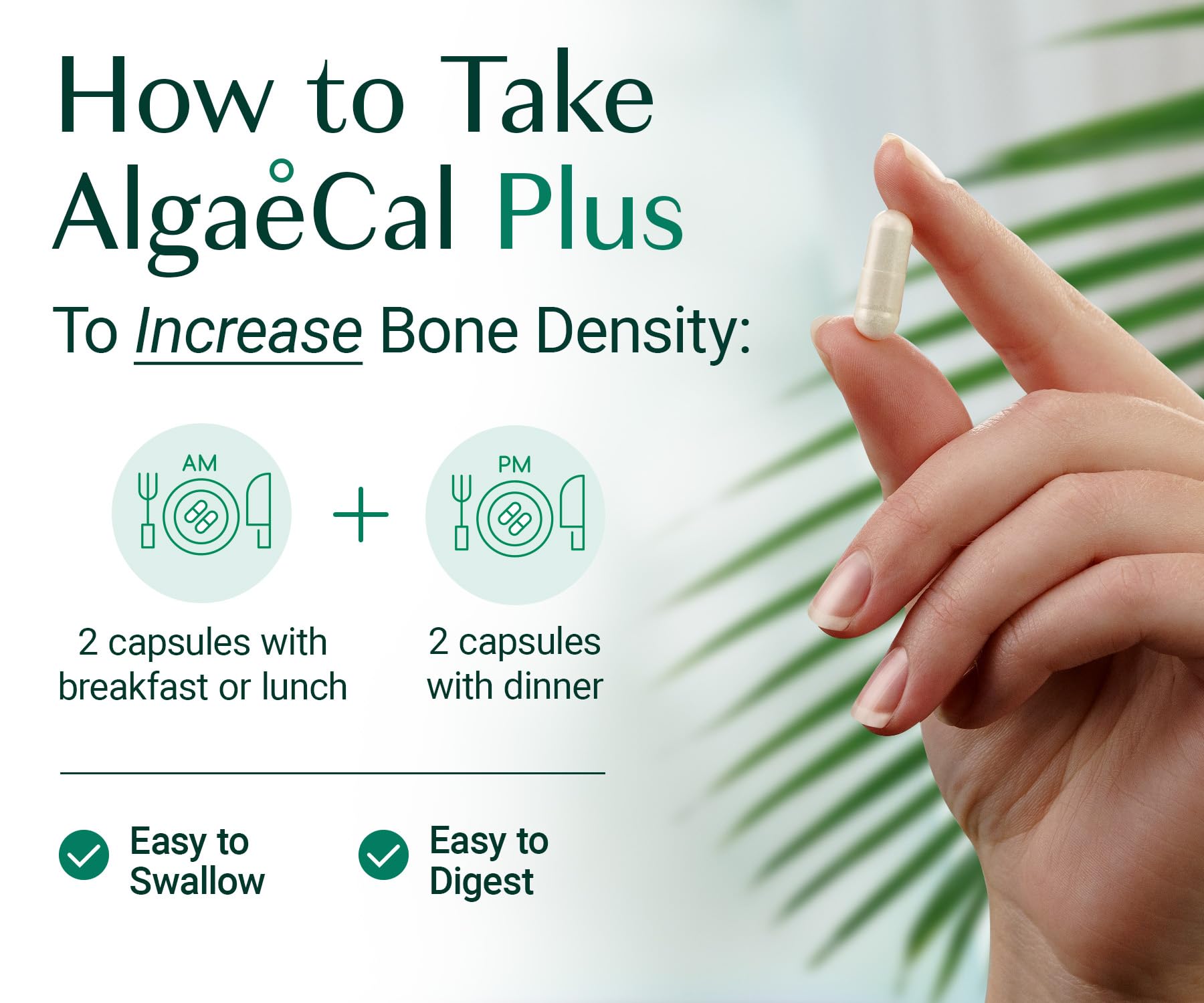 ALGAECAL cápsula junto a una mano para comparar tamaño y dosificación