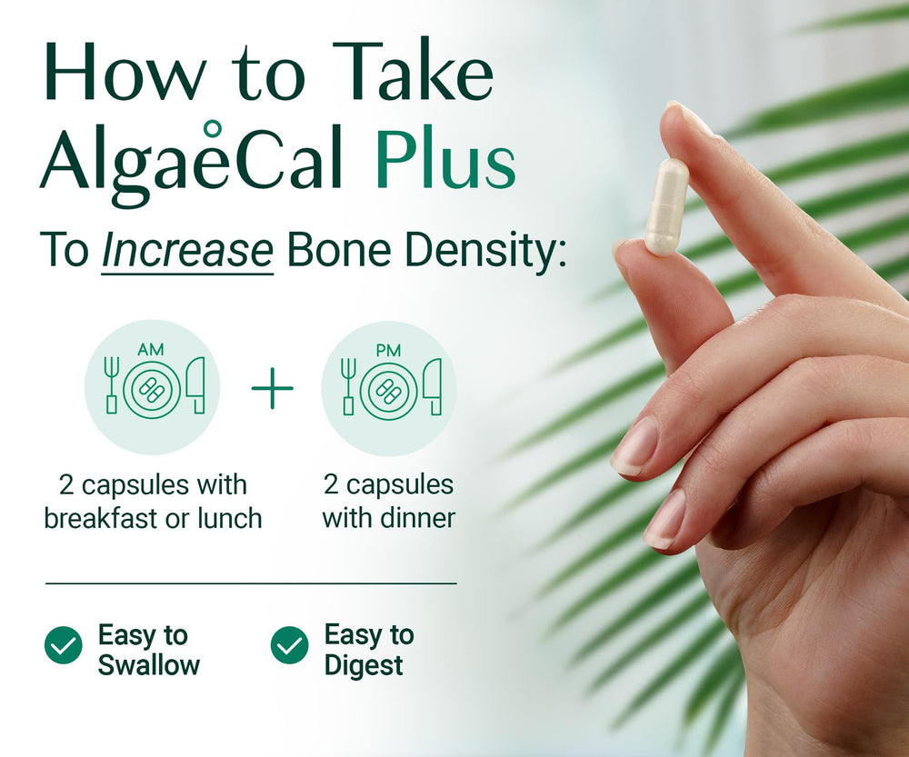 ALGAECAL cápsula junto a una mano para comparar tamaño y dosificación