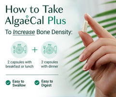 ALGAECAL cápsula junto a una mano para comparar tamaño y dosificación