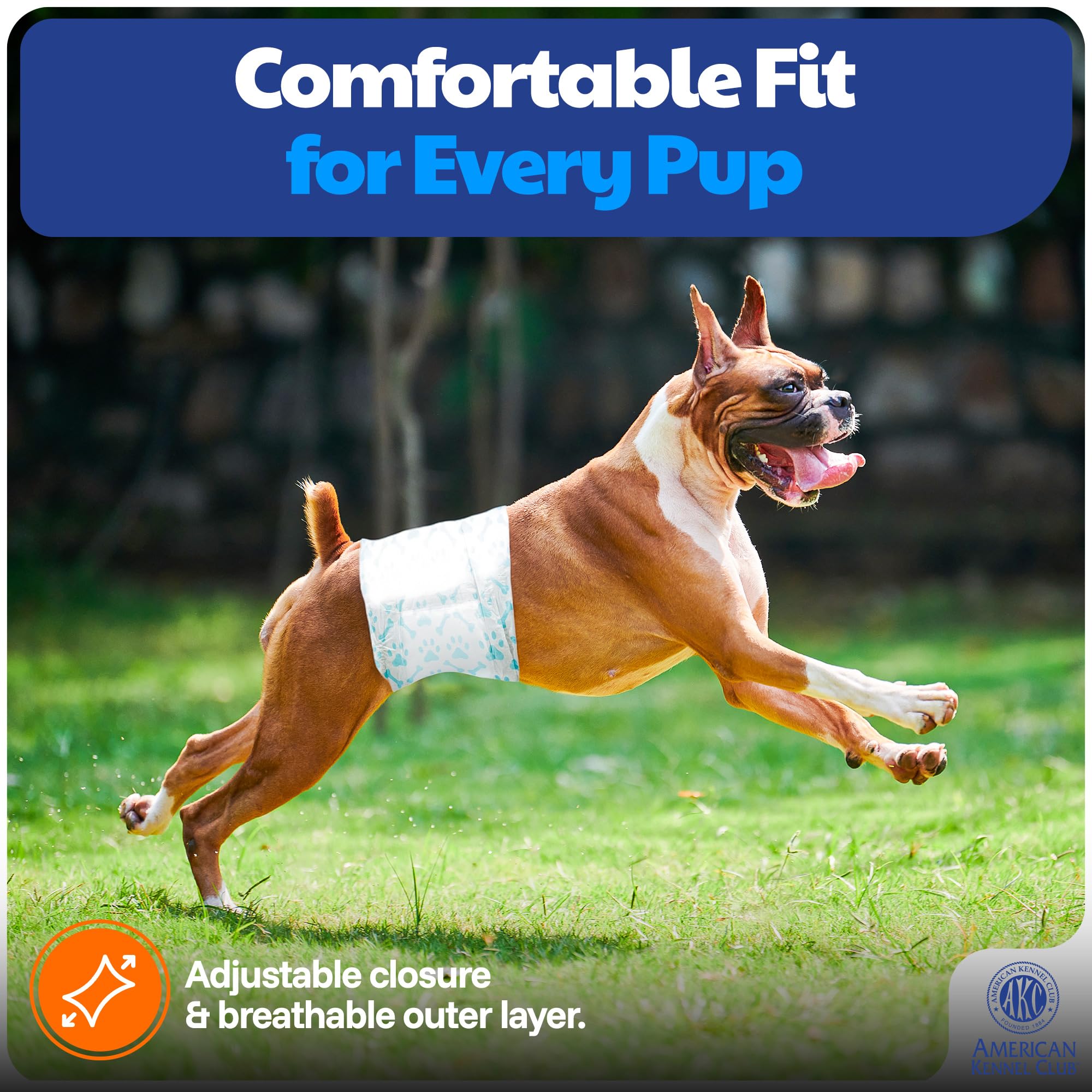 American Kennel Club comparación de tamaño con regla para elegir talla correcta