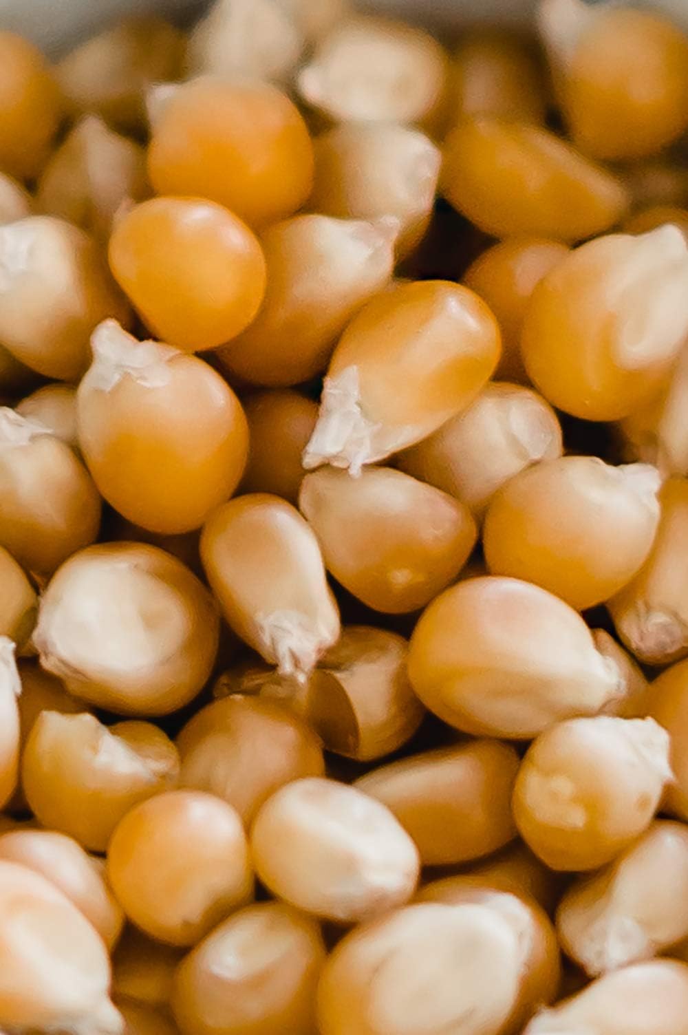 Amish Country Popcorn palomitas servidas en tazón listas para disfrutar