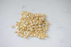 Amish Country Popcorn granos en mano demostrando calidad y textura