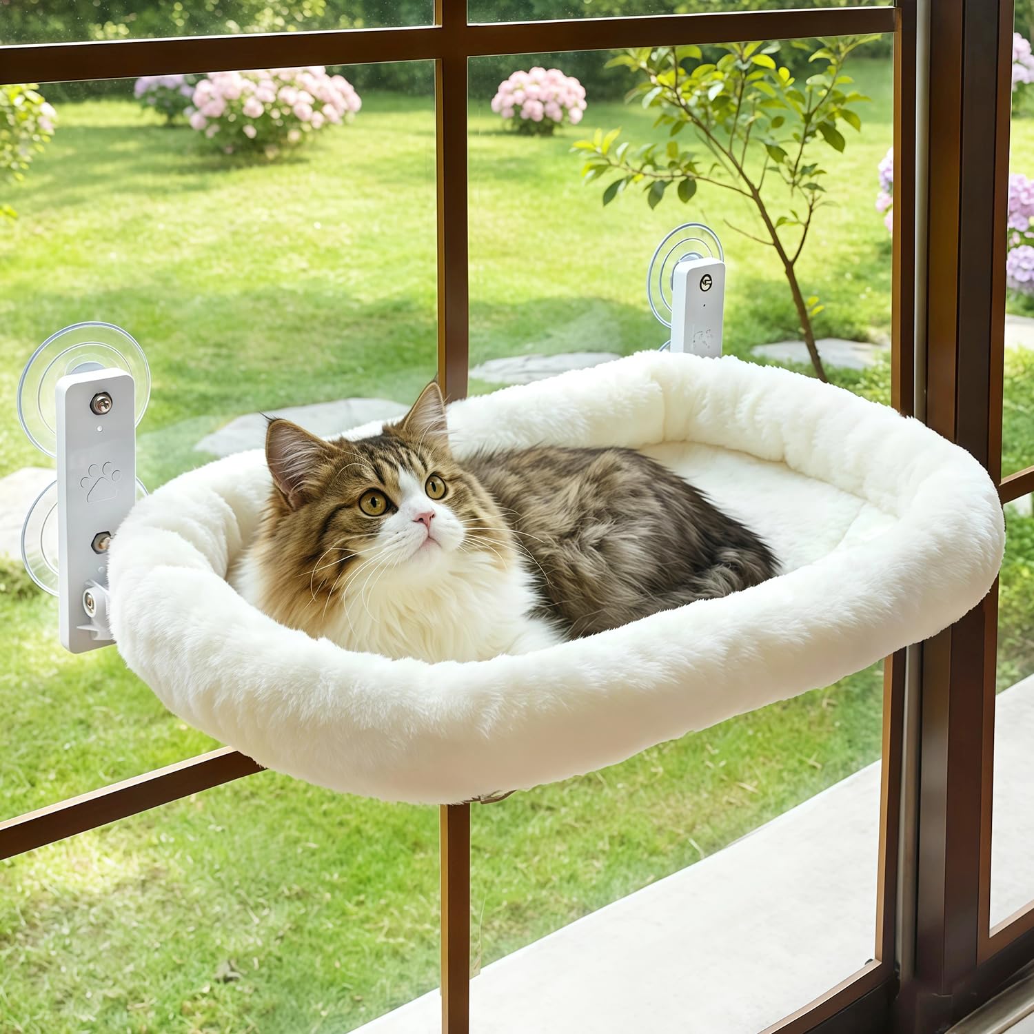 AMOSIJOY front view on window showing secure perch and sunlit comfort