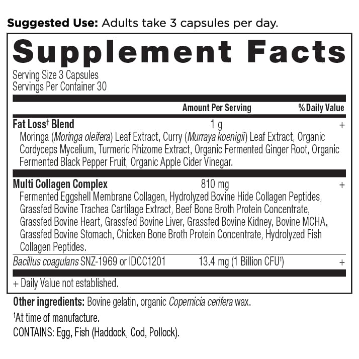 ancient nutrition botella junto a equipo de entrenamiento para estilo de vida activo