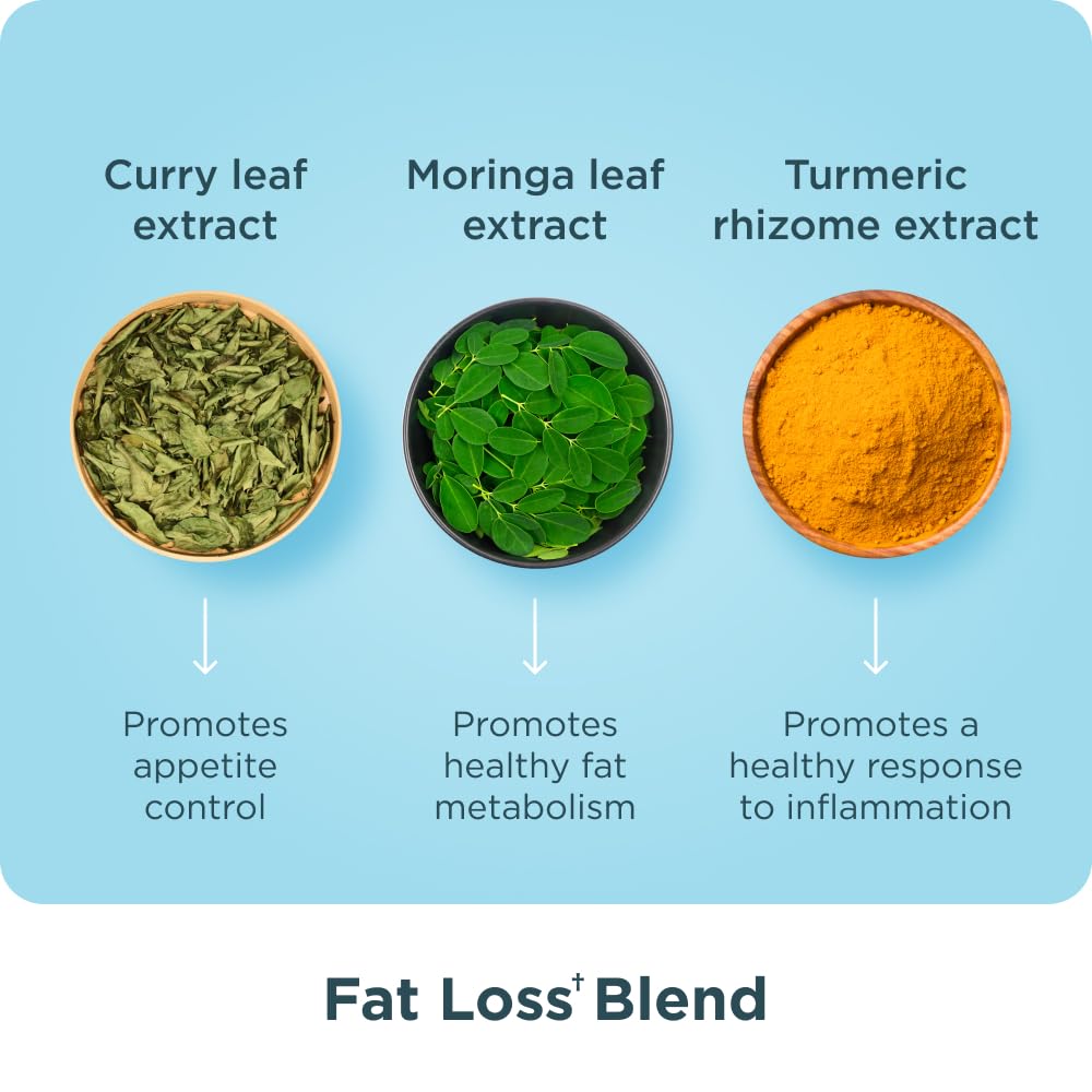 ancient nutrition mezcla de moringa, curry y cúrcuma que apoya el metabolismo