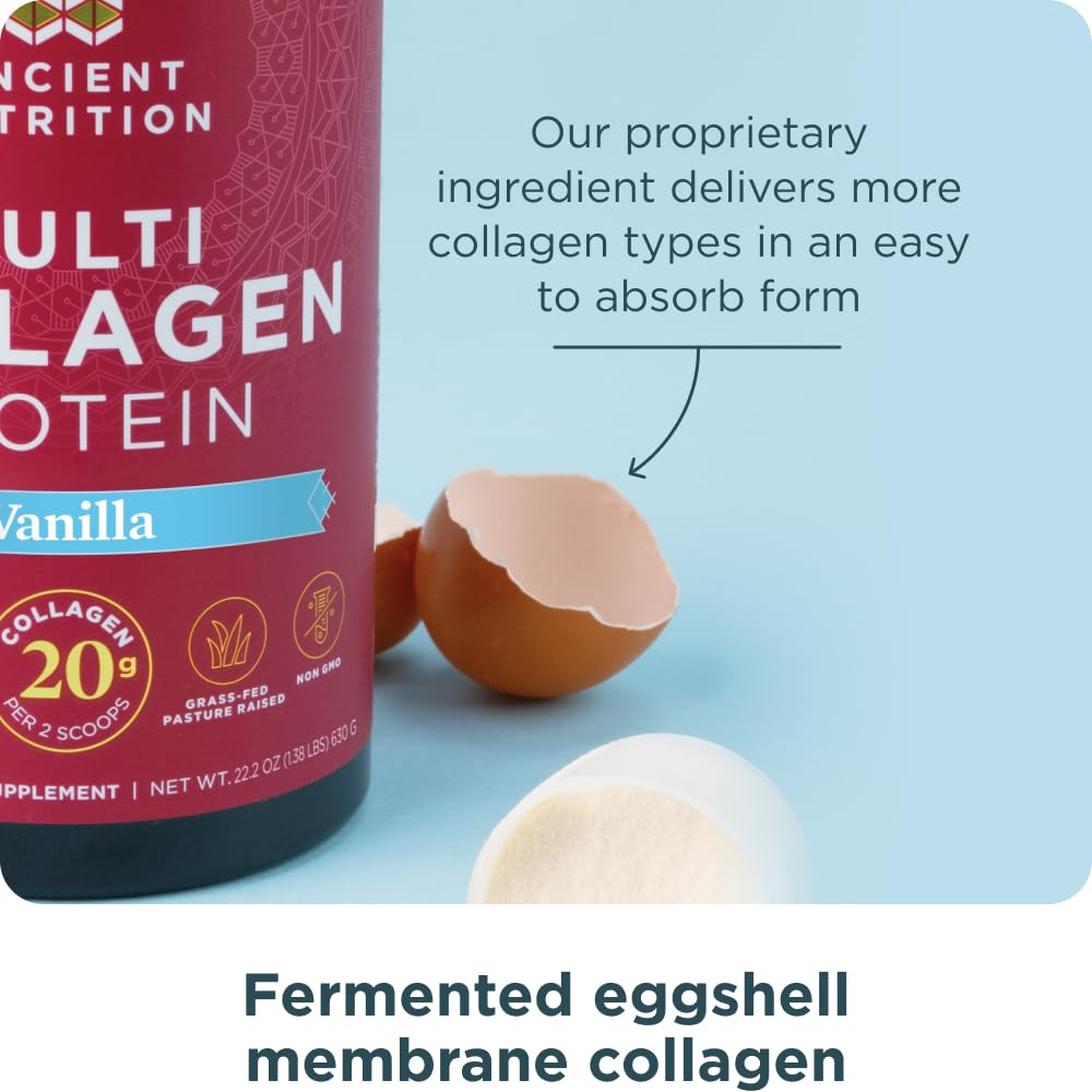 Ancient Nutrition scoop next to common objects showing serving size and portion guidance