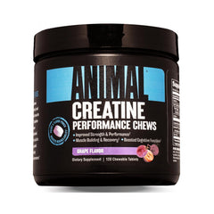 Animal chew en mano para comparar tamaño y facilidad de transporte