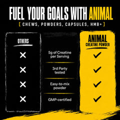 Animal creatine cuchara de 5 g para dosificación precisa y sencilla
