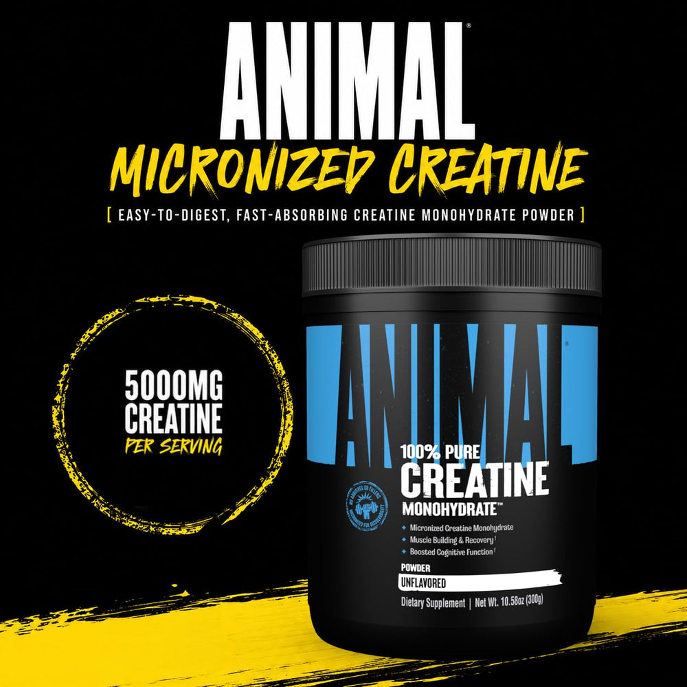 Animal creatine polvo textura micronizada que facilita disolución rápida