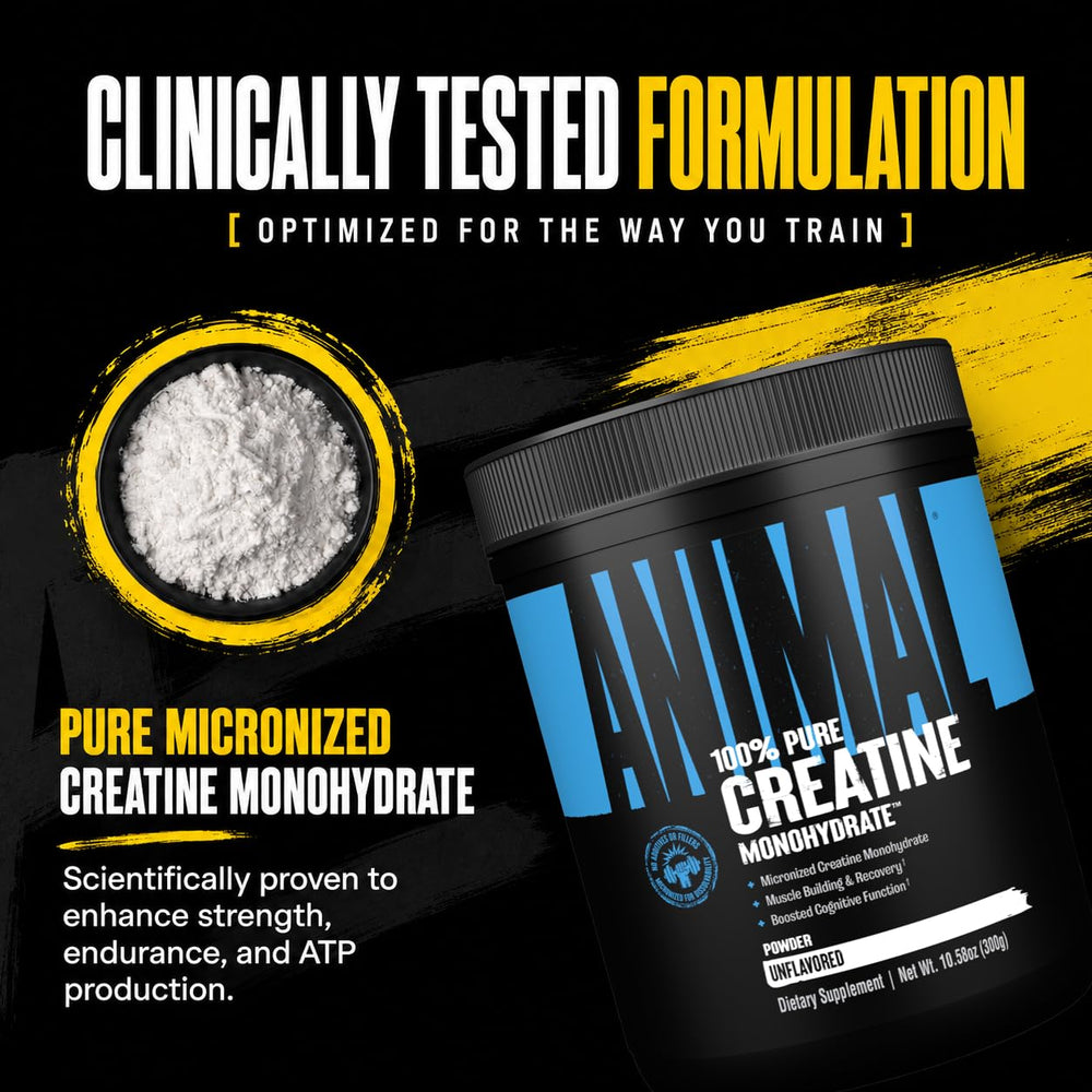 Animal creatine en batido proteico para mejorar recuperación postentrenamiento