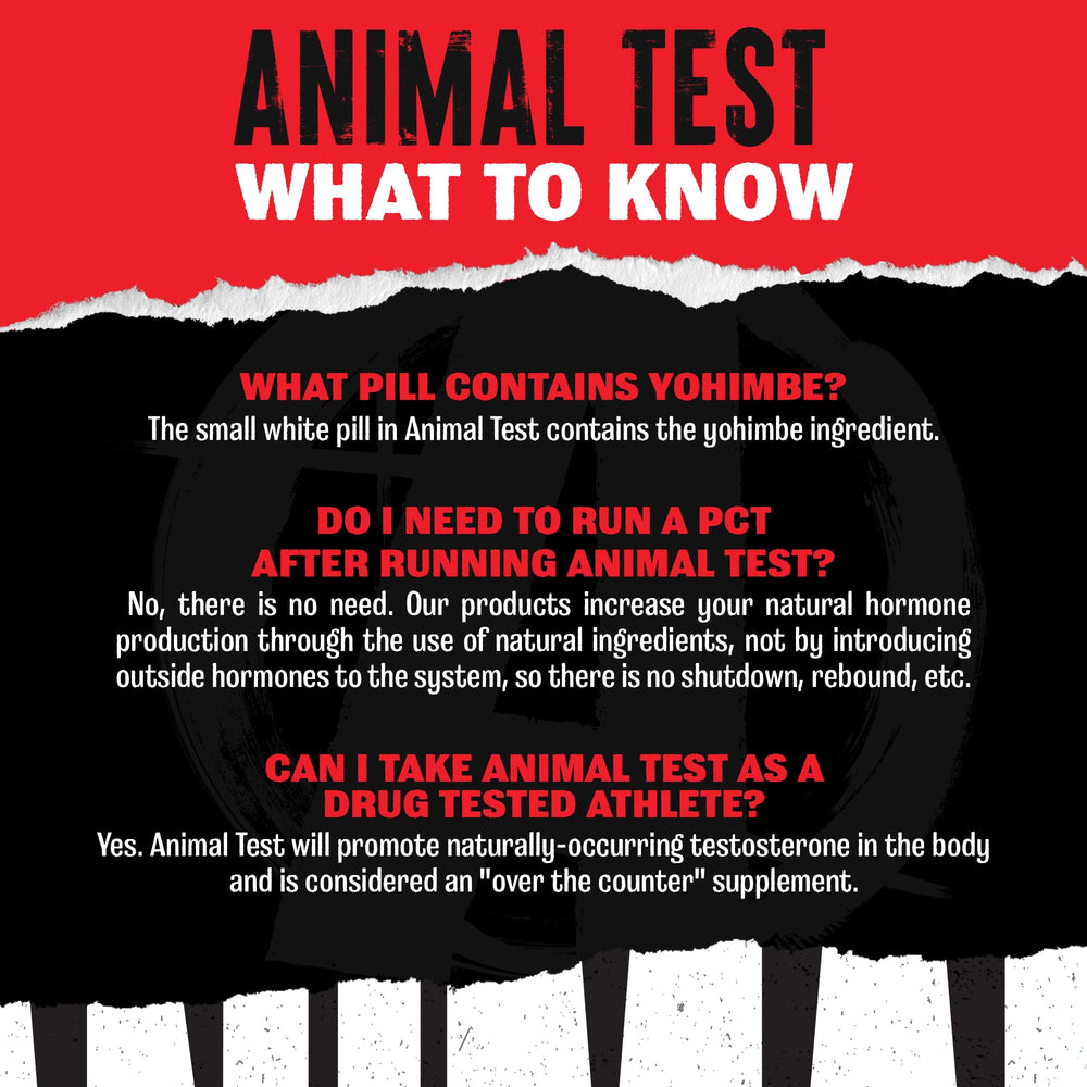 Animal Test primer plano de sobres dosificados de Animal y facilidad de uso